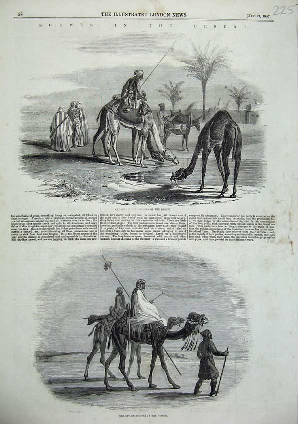 Original Old Antique Print 1857 Desert Camels Village Oasis Men Palm Trees 19th