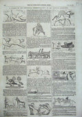 Old Antique Print 1857 Nineveh Bas-Reliefs Camels Sheep Animals Hawk Bird 19th