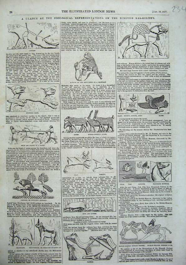 Old Antique Print 1857 Nineveh Bas-Reliefs Camels Sheep Animals Hawk Bird 19th