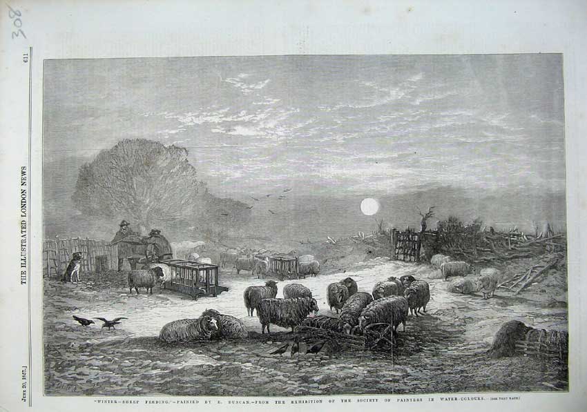 Old Antique Print 1857 Winter Sheep Feeding Shepherds Moonlight Fine Art 19th