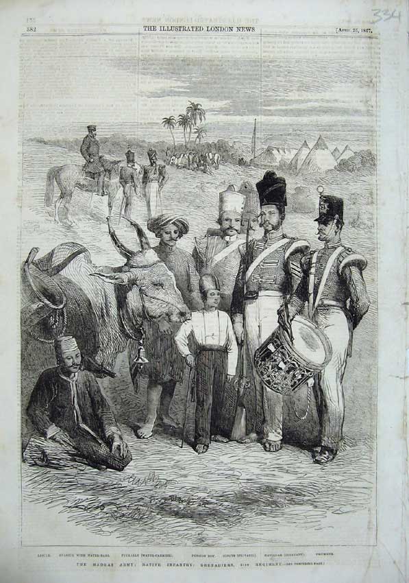 Old Antique Print 1857 Madras Army Native Infantry Grenadiers Music Cow 19th