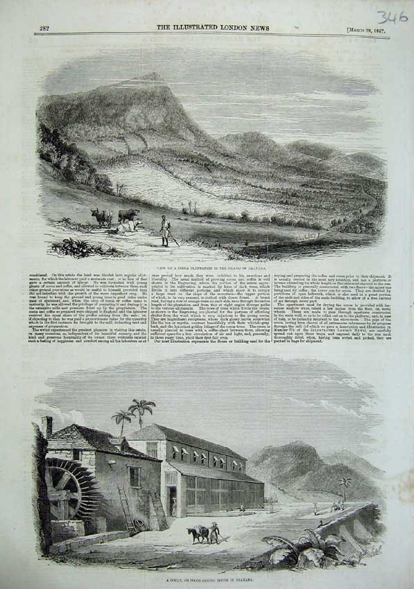 Old Antique Print 1857 Cocoa Plantation Island Granada Bocan Drying House 19th