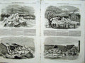 Old Antique Print Ice Officers Barracks Fredericton House Horse Sledge
