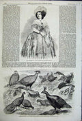 Old Antique Print Miss Amy Sedgwick 1858 Watkins Indian Pheasants Birds 19th