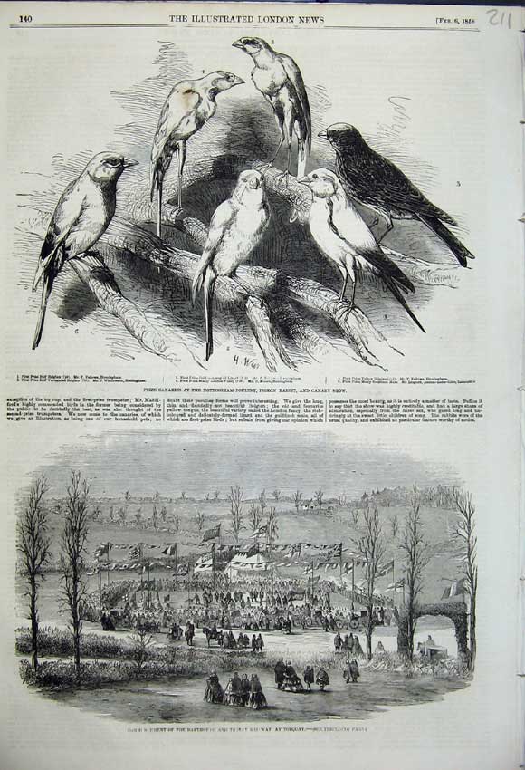 Original Old Antique Print Prize Canaries Nottingham Poultry Pigeon Show 1858