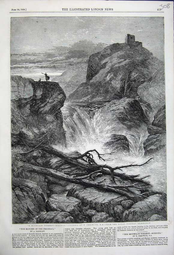 Original Old Antique Print 1858 Mountain Torrent Morning Creswick Fine Art 19th