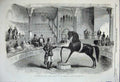 Old Antique Print *0186 1858 American Horse Black Eagle Alhambra Palace 19th