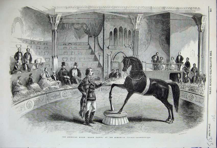 Old Antique Print *0186 1858 American Horse Black Eagle Alhambra Palace 19th