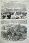 Old Antique Print Elephant Camp Raneegunge Washing Elephants 1858 India 19th