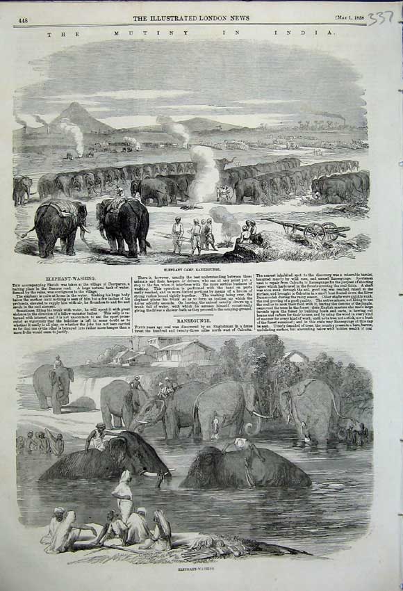 Old Antique Print Elephant Camp Raneegunge Washing Elephants 1858 India 19th