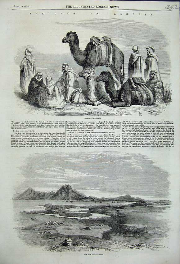 Original Old Antique Print Algeria Arabs And Camels 1858 Site Carthage 19th