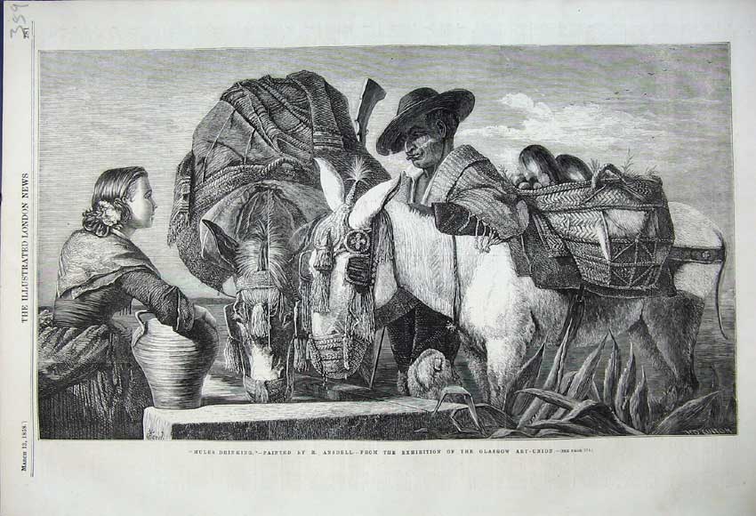 Original Old Antique Print 1858 Mules Drinking Ansdell Fine Art Glasgow 19th