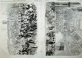 Original Old Antique Print 1858 Berlin Presentation Butchers Merchants Ball