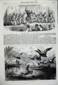 Old Antique Print Coloured Opera Oxford Gallery 1858 Wild Fowl Shooting 19th
