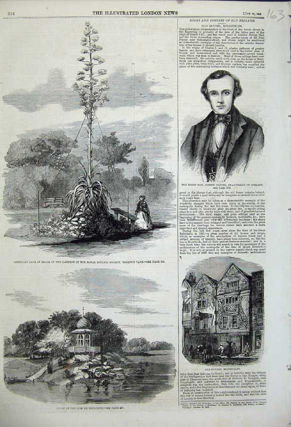 Old Antique Print 1858 Joseph Napier Ireland American Aloe Kiosk France 19th