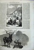 Old Antique Print 1858 Tourists Mer De Glace Markore Capra Megaceros Goat 19th
