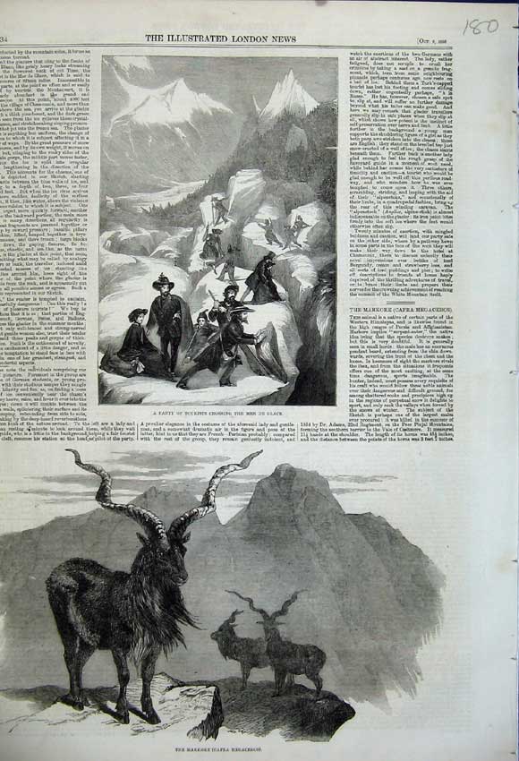 Old Antique Print 1858 Tourists Mer De Glace Markore Capra Megaceros Goat 19th