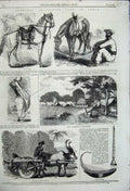 Old Antique Print 1858 Natives India Burmese Harp Sikh Horse Leopard Hunt 19th
