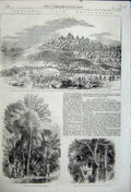 Old Antique Print 1858 Madagascar Bread Fruit Antananarivo Tree Speciosa 19th