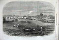 Old Antique Print 1858 Prince Consort Model Farm Osborne Shepherd Sheep 19th