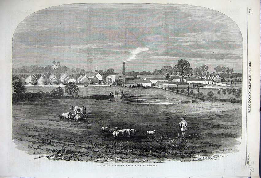 Old Antique Print 1858 Prince Consort Model Farm Osborne Shepherd Sheep 19th