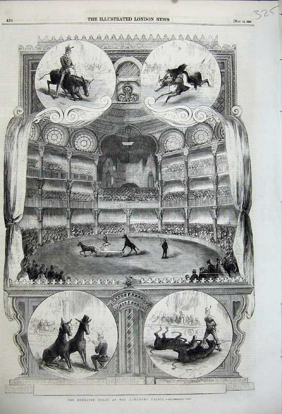 Old Antique Print 1858 Educated Mules Alhambra Palace Performing Animals 19th