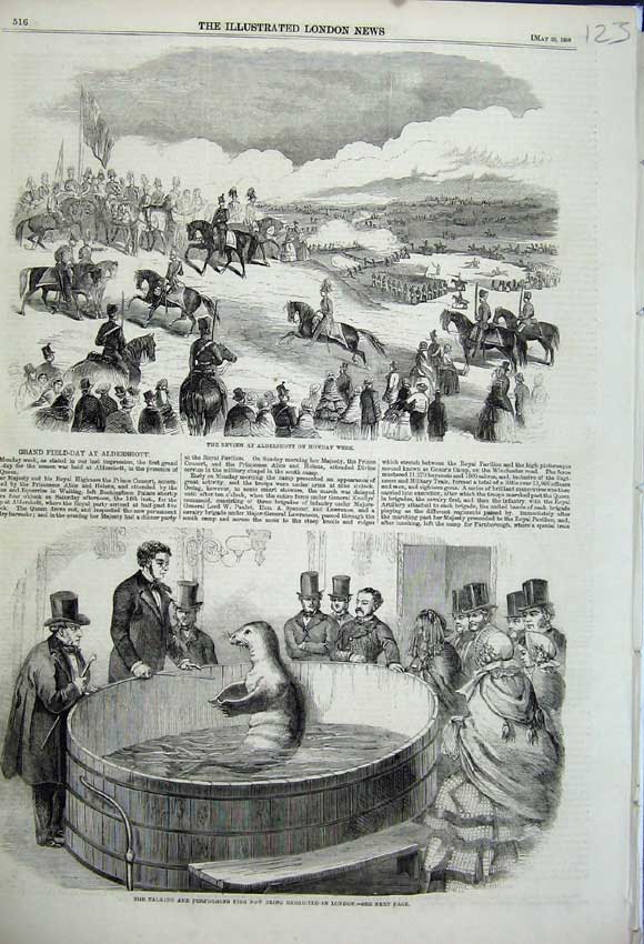 Old Antique Print 1859 Review Aldershot Performing Seal Fish London Men 19th