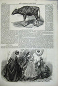 Original Old Antique Print 1859 Gagou Calf Cow Animal Fashion Dresses Children