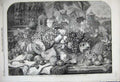 Original Old Antique Print 1859 Fruit Pear Duffield Exhibit British Institution