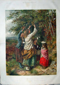 Original Old Antique Print 1859 Colour Children Nut-Gathering Tree Cobbett