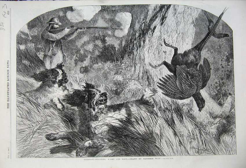 Old Antique Print 1859 Pheasant Shooting Bird Man Rifle Gun Dog Country 19th