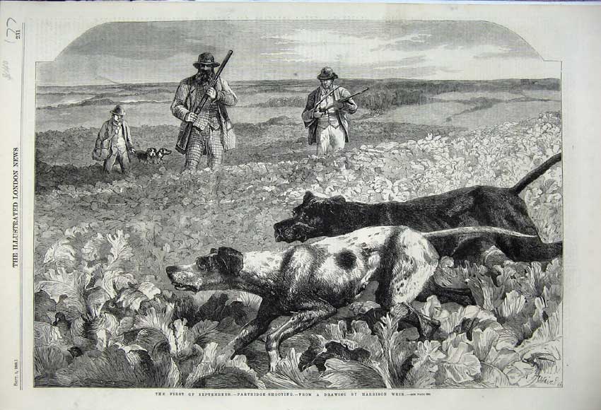 Original Old Antique Print 1859 Partridge Shooting Men Rifles Sport Dogs Hounds