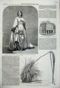 Old Antique Print 1859 Heath Juliet Windsor Post Office Agave Yuccoefolia 19th