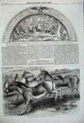 Original Old Antique Print 1859 Kiang Wild Horse Thibet Panel Door Washington
