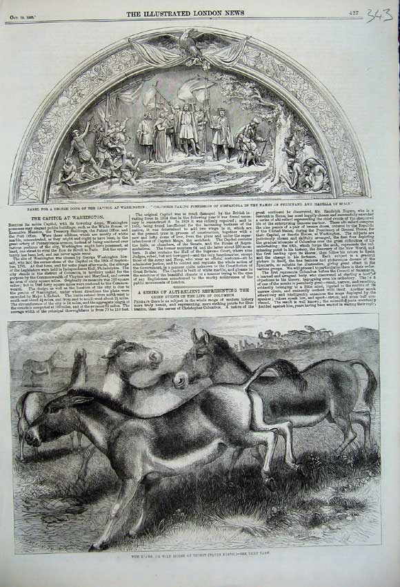 Original Old Antique Print 1859 Kiang Wild Horse Thibet Panel Door Washington