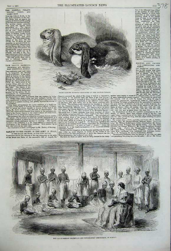 Old Antique Print 1859 Rabbits Crystal Palace David Sassoon Bombay India 19th