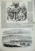 Original Old Antique Print 1859 Encampment Woolmer Legge Sheep Hyde Park Killed