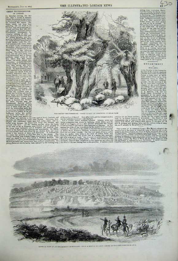 Original Old Antique Print 1859 Encampment Woolmer Legge Sheep Hyde Park Killed