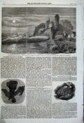 Original Old Antique Print 1860 Seine Tancarville Point Quillebeuf Fossil Leaf
