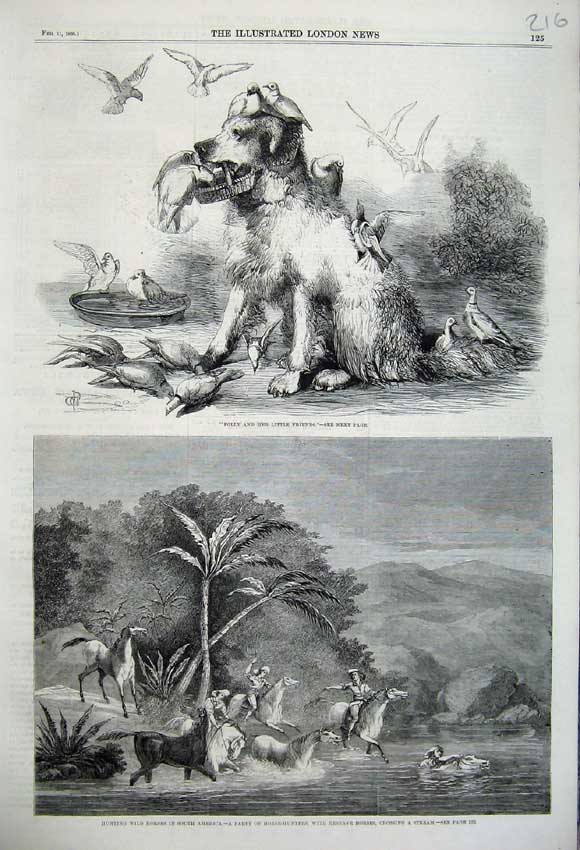 Old Antique Print 1860 Dog Birds Hunting Wild Horses America Stream Hills 19th