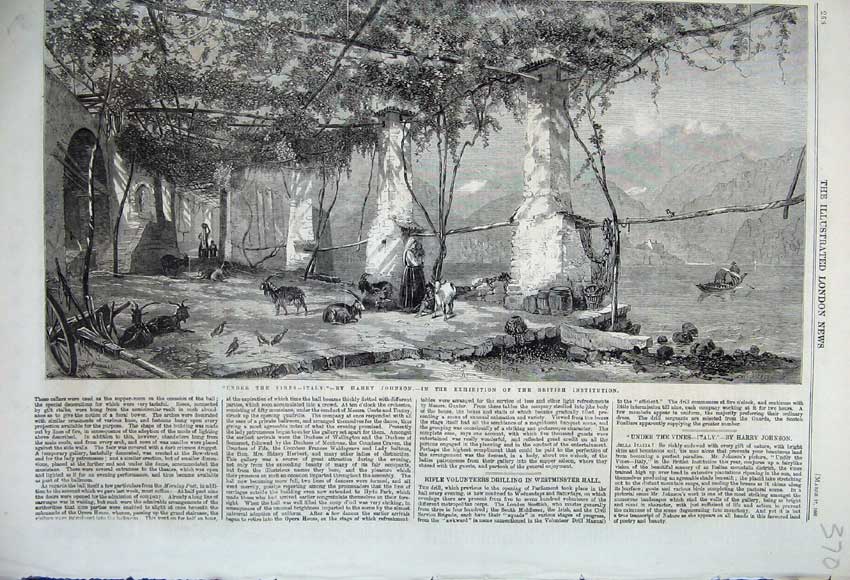 Old Antique Print 1860 Under The Vines Italy Grapes Wine Making Goat Bird 19th