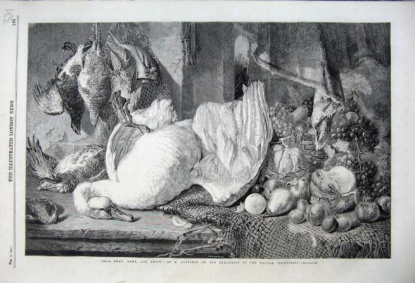 Old Antique Print 1860 Dead Swan Fruit Birds Grapes Apples Pears Duffield 19th
