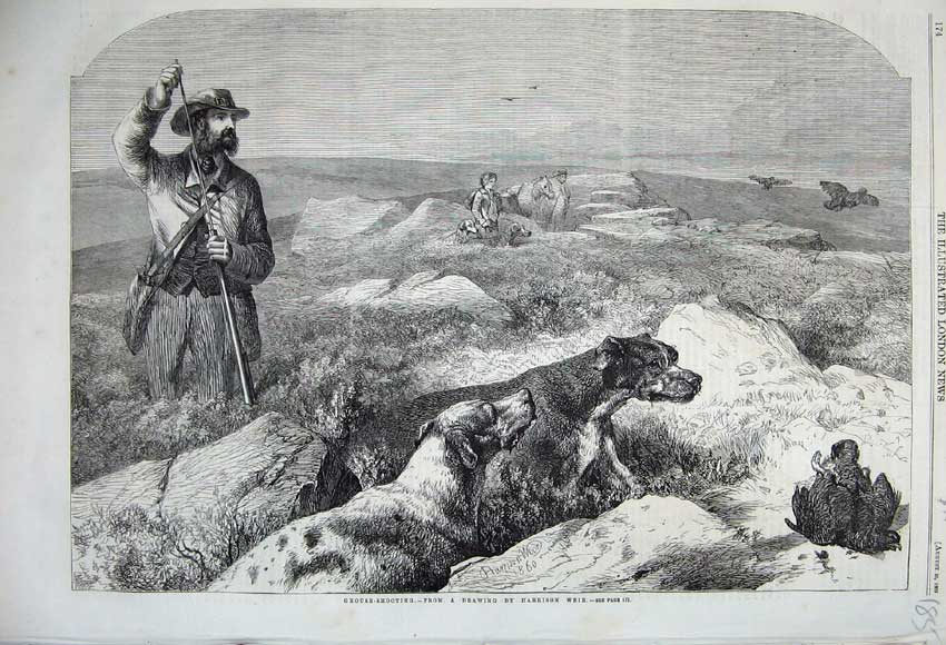 Old Antique Print 1860 Grouse Shooting Man Rifle Horse Hound Dogs Sport 19th
