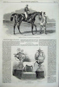 Original Old Antique Print 1860 Sweetsauce Horse Goodwood Race Plate Stewards