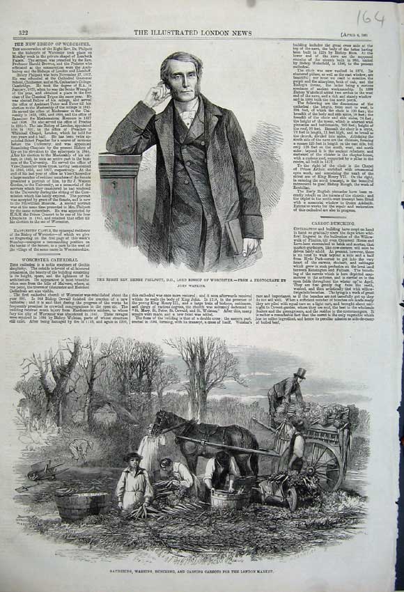 Original Old Antique Print 1861 Gathering Carrots London Market Henry Philpott