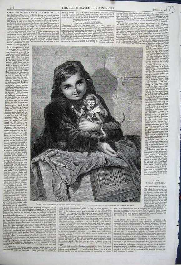 Old Antique Print Two Little Monkeys Elizabeth Murray Society Artist 1861 19th