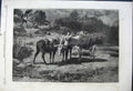 Old Antique Print 1861 Three Brothers Rosa Bonheur French Gallery Donkeys 19th