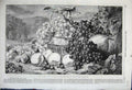 Original Old Antique Print 1861 Gen Age Fruit Exhibition British Institution