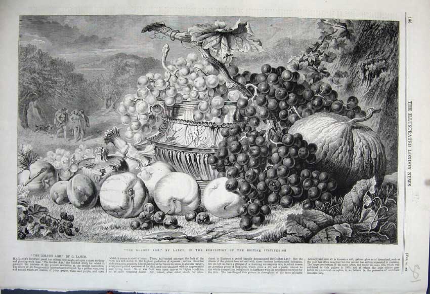 Original Old Antique Print 1861 Gen Age Fruit Exhibition British Institution