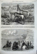 Old Antique Print 1861 Civil War America General Sickles Potomac Antelope 19th